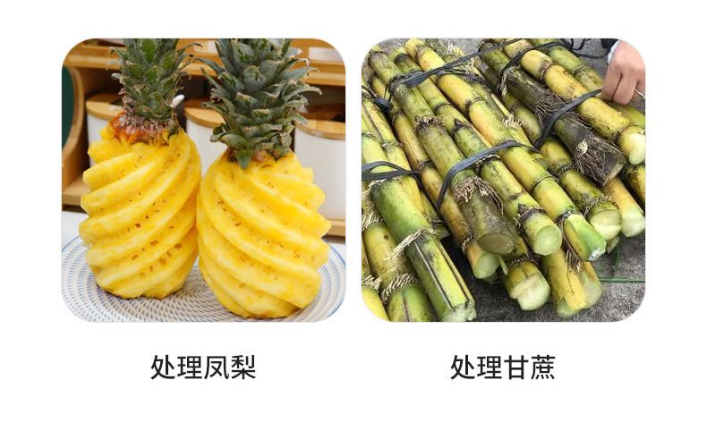 Paslanmaz çelik ananas ve şeker kamışı soyucu bıçağı