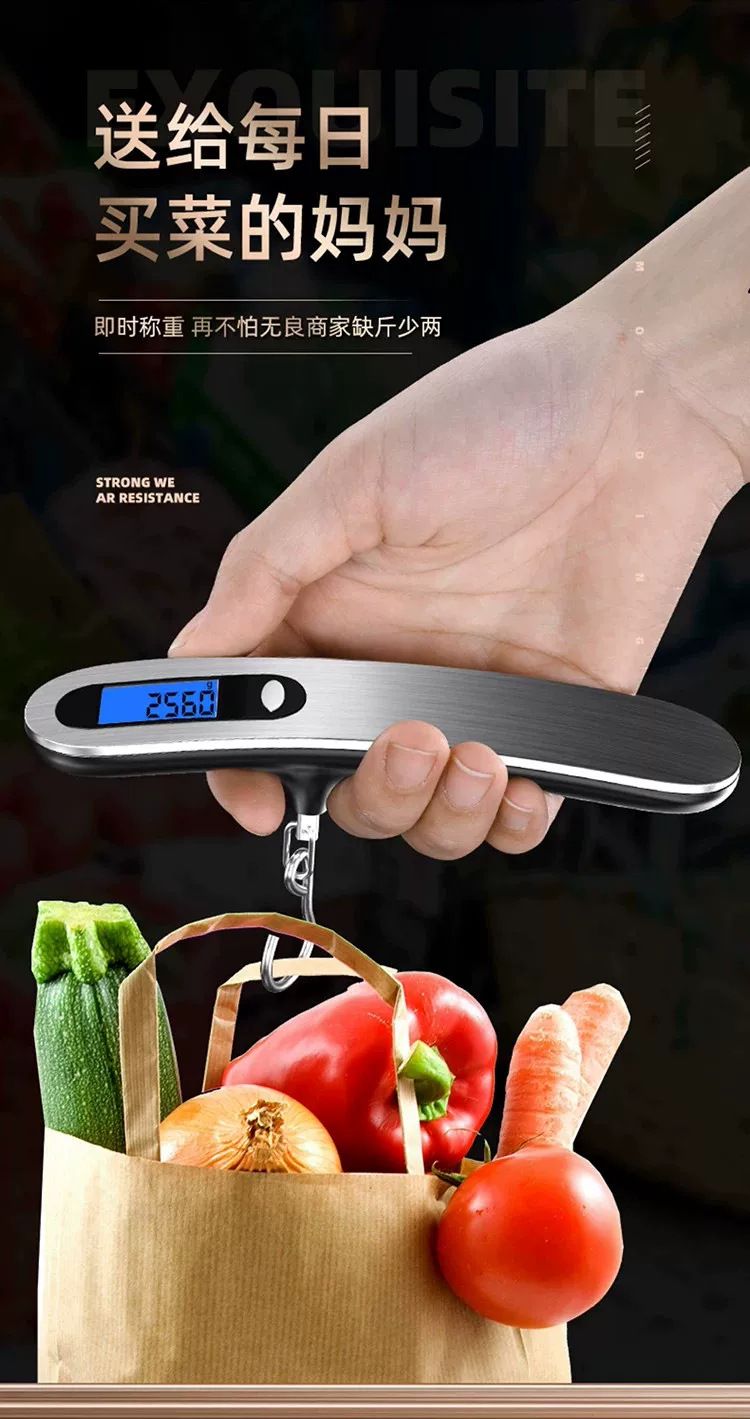 Portable electronic hanging scale 50kg, high precision