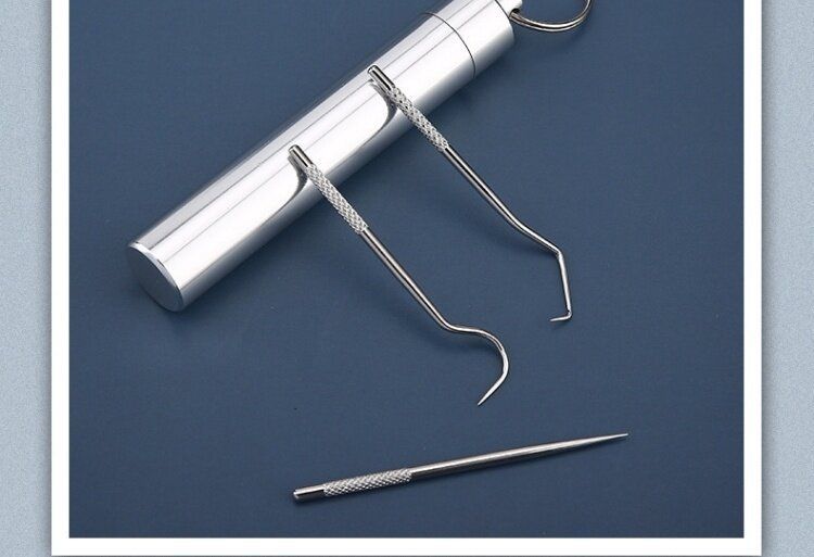 Stainless steel toothpick set, portable dental care tool