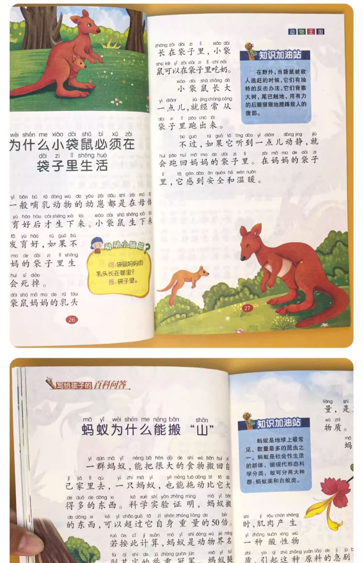 儿童趣味百科知识问答全书少儿动物人体科普绘本3岁8课外阅读书籍
