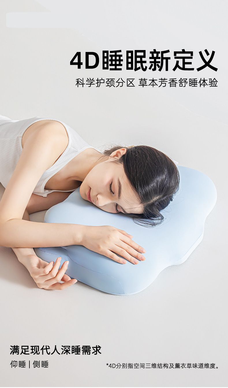 Cervical Spine Memory Foam Neck Pillow Pair