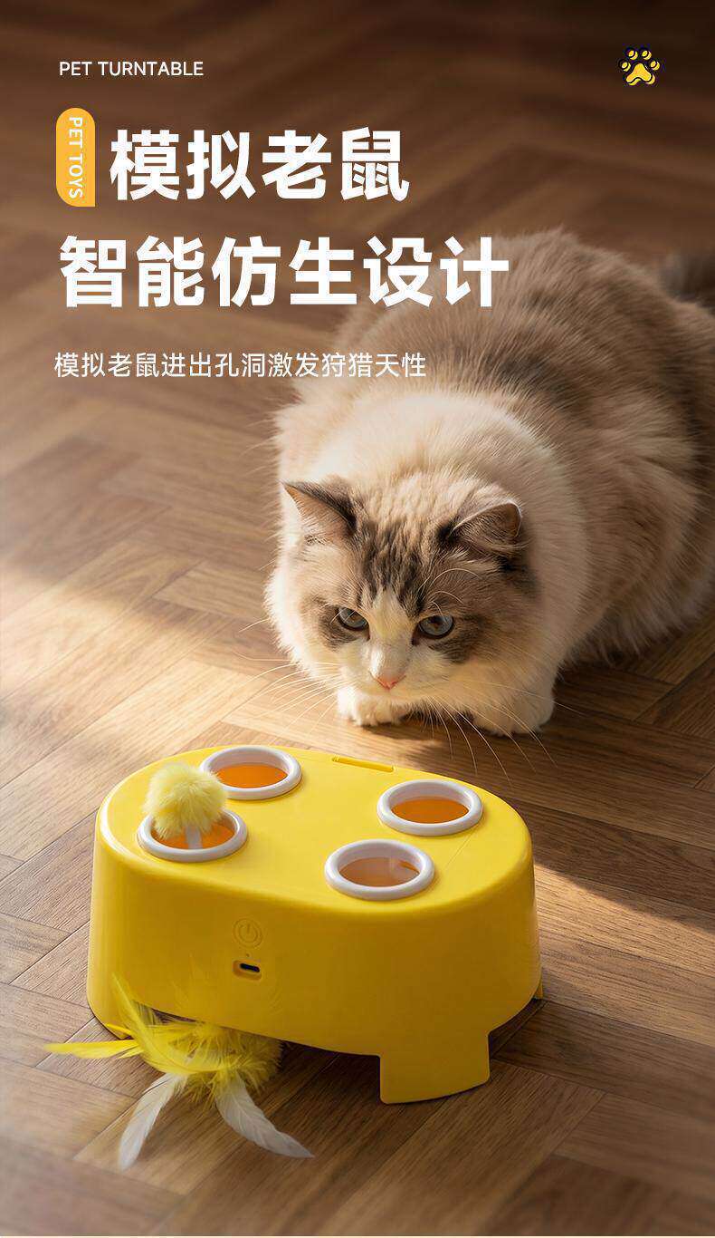 Cat toy, interactive, electric, multi-function