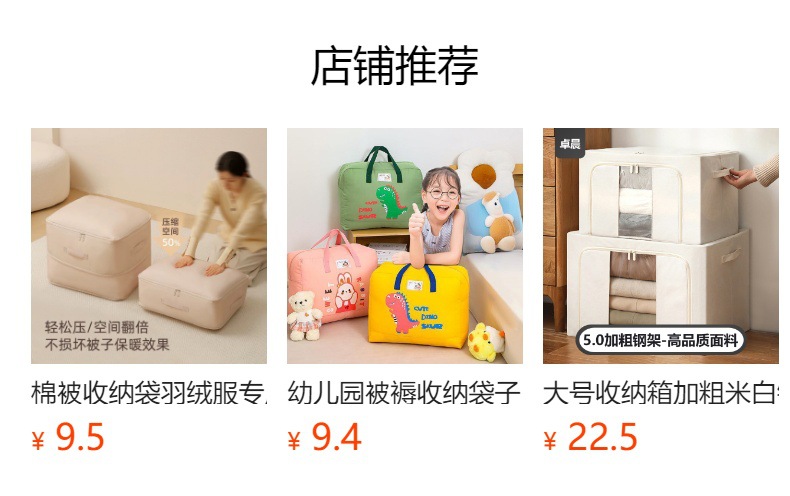 Large Transparent Foldable Storage Box, Mesh Grid