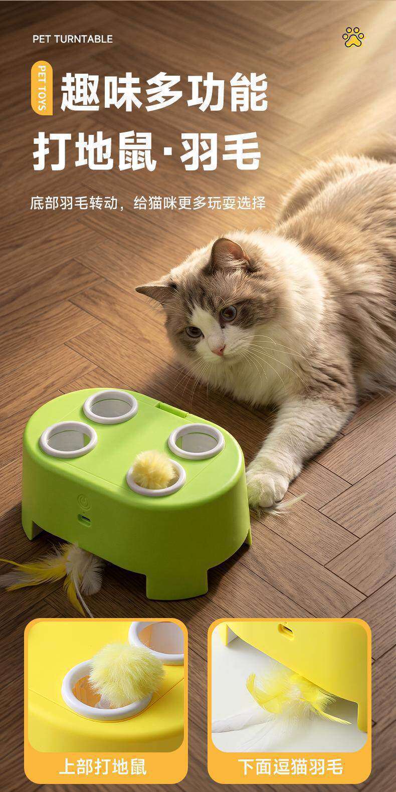 Cat toy, interactive, electric, multi-function