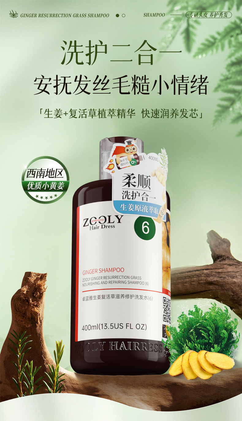 Zhuolan Ya Ingwer Shampoo Nährend Reparatur
