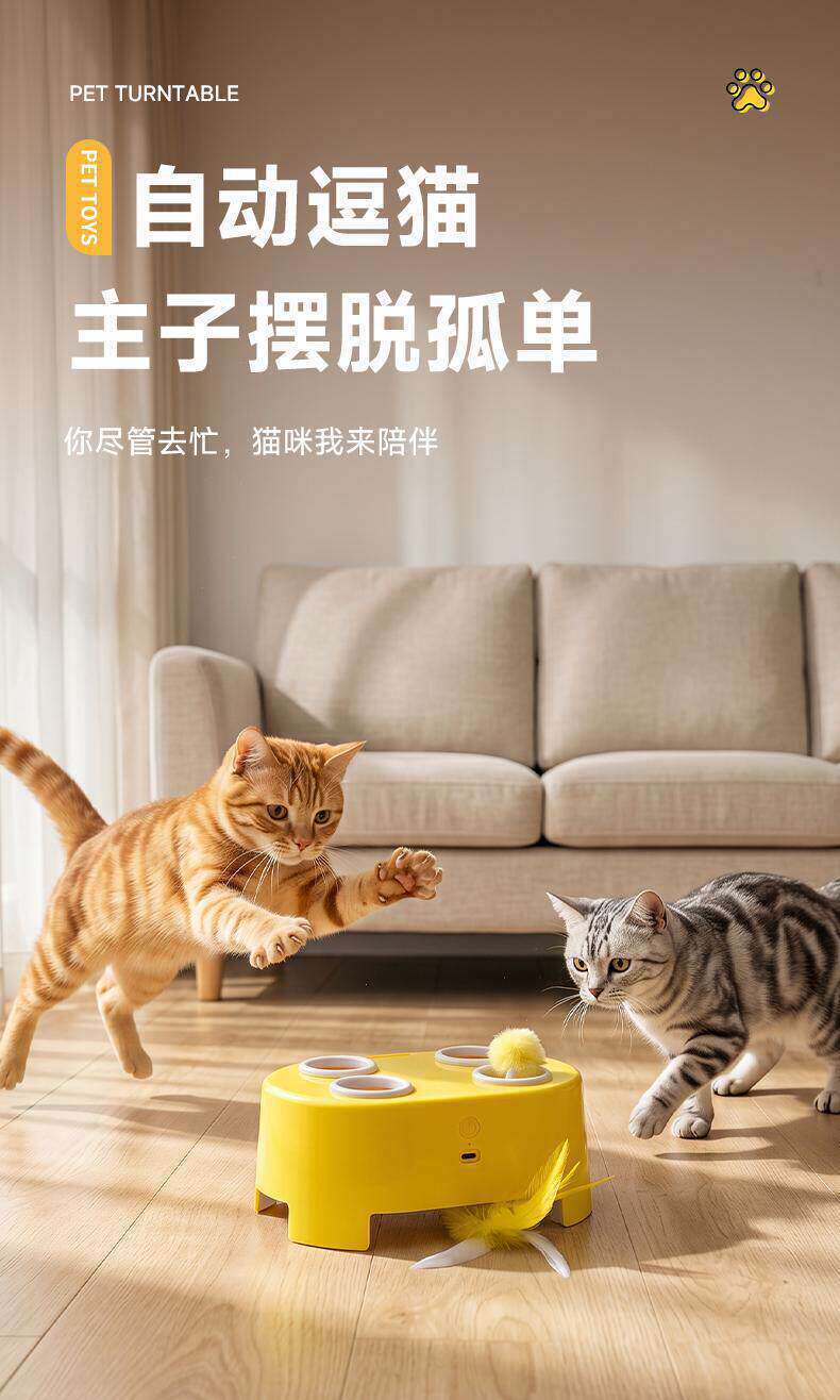 Cat toy, interactive, electric, multi-function