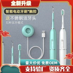Smart ultrasonic electric toothbrush with magnetic mounting