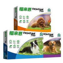 Dog and cat toothbrush set with toothpaste, tartar cleaning