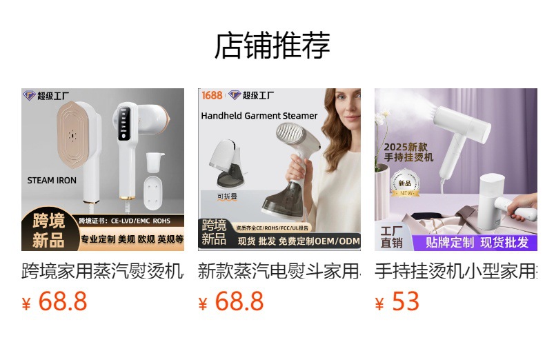 Handheld Mini Steam Iron, Portable