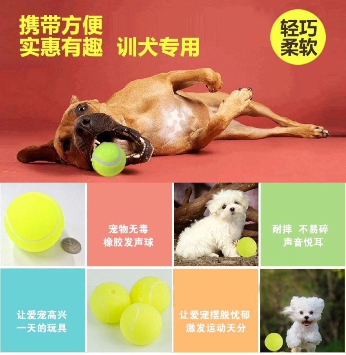 宠物玩具狗狗橡胶球解闷互动耐磨玩耍狗玩具宠物用品批发厂家