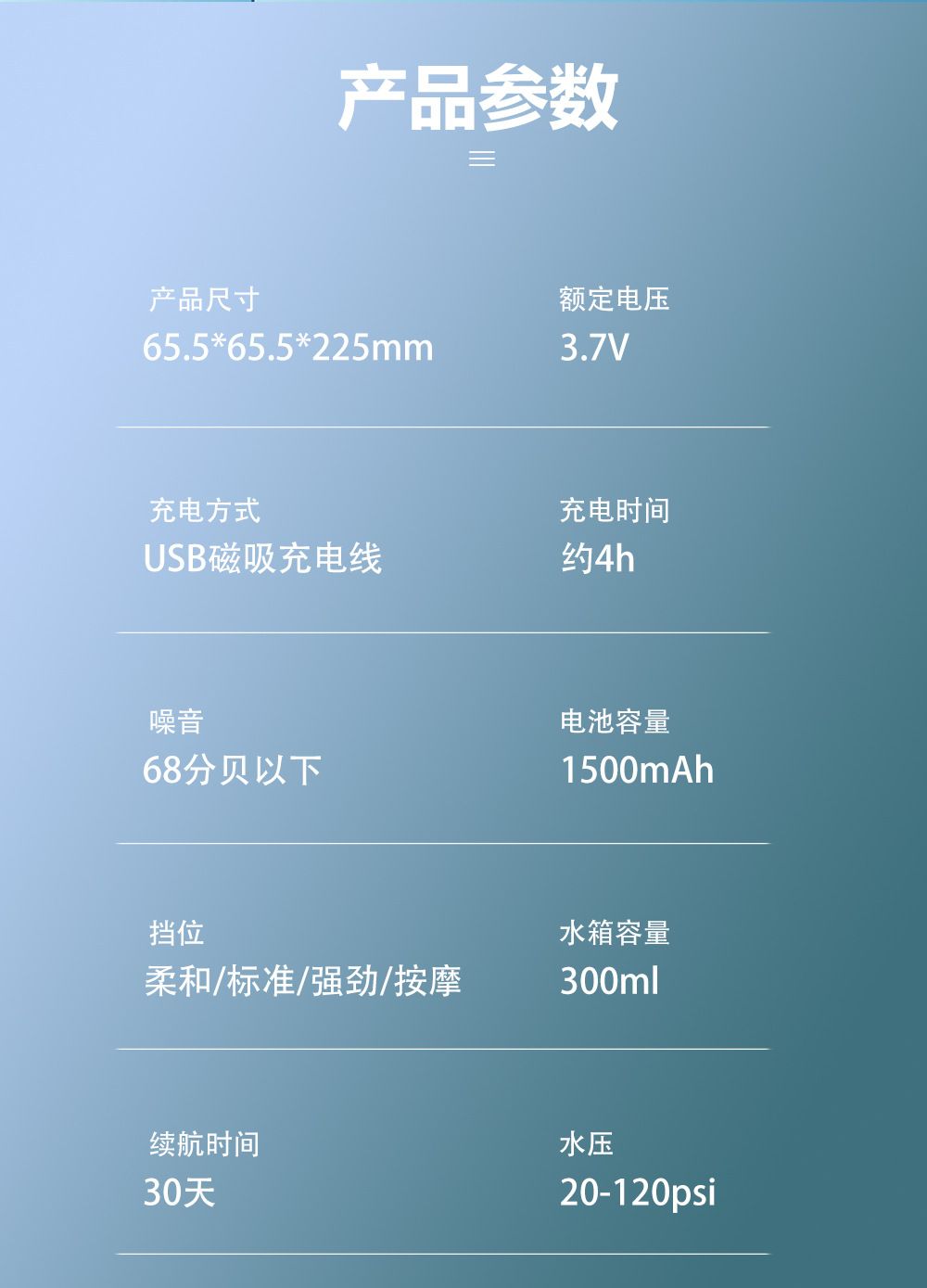 浦若飞电动冲牙器 便携式300ML家用口腔清洁牙齿专用洁牙器水牙线