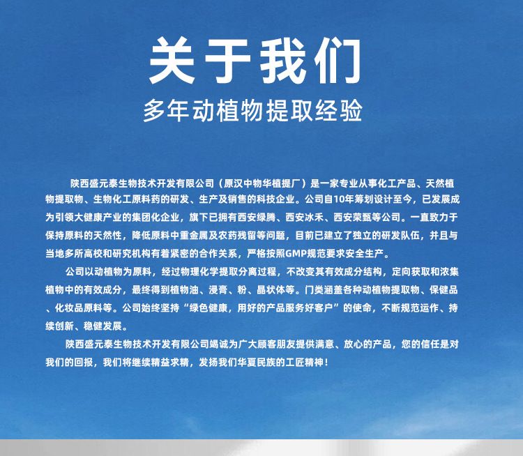 玉米蛋白粉60% 盛元泰供应食品级玉米提取植物蛋白粉 量大从优