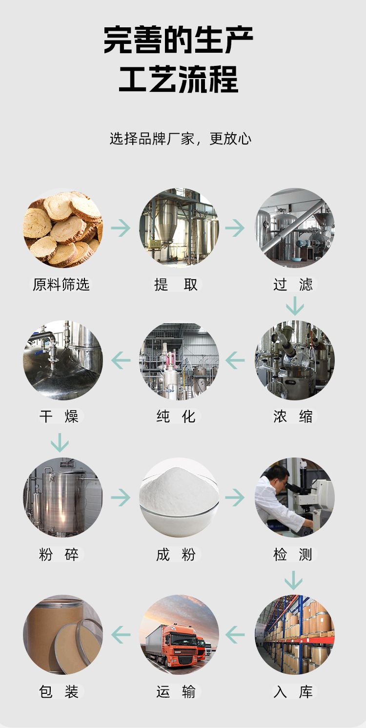 玉米蛋白粉60% 盛元泰供应食品级玉米提取植物蛋白粉 量大从优