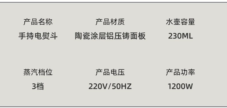 Portable electric steam iron for home use