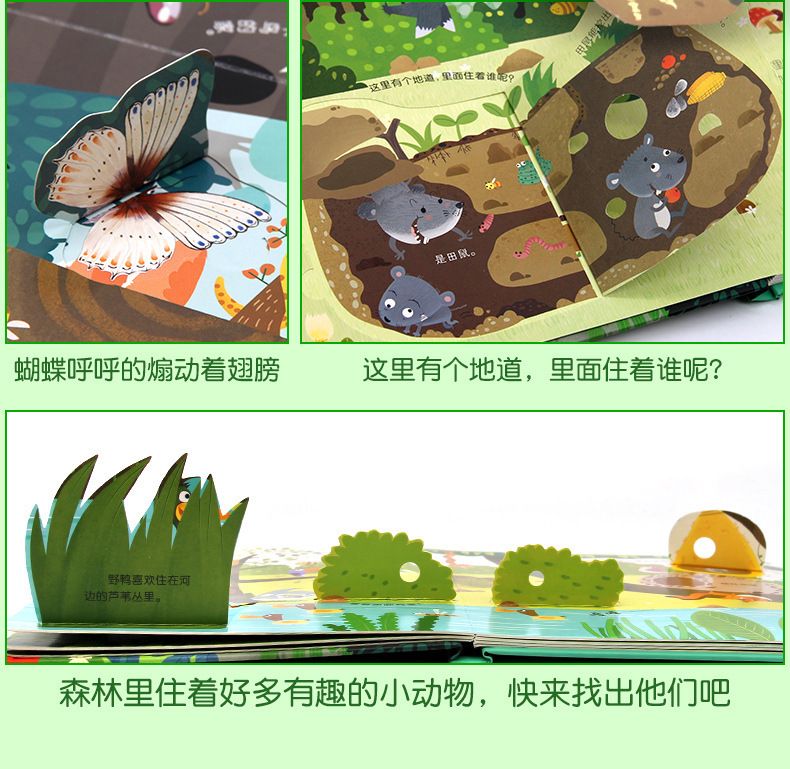 Children's 3D Pop-up Book with Hidden Secrets