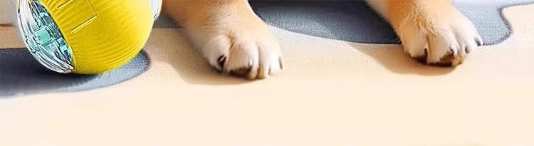 Köpek oyuncağı otomatik yürüme topu, elektrikli akıllı