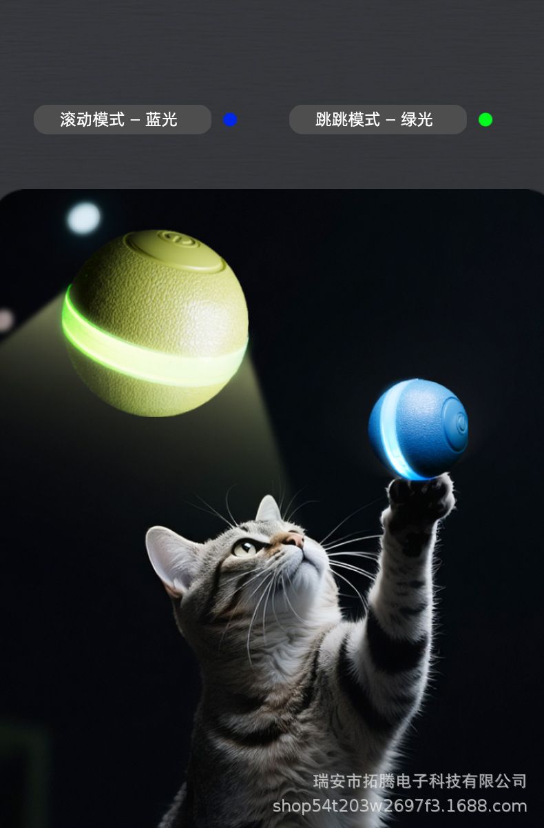 Dualmodus-Katzenspielzeug mit Ball und Zahnreinigung