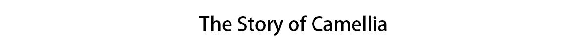 Mavi korundum taşlı gümüş yüzük