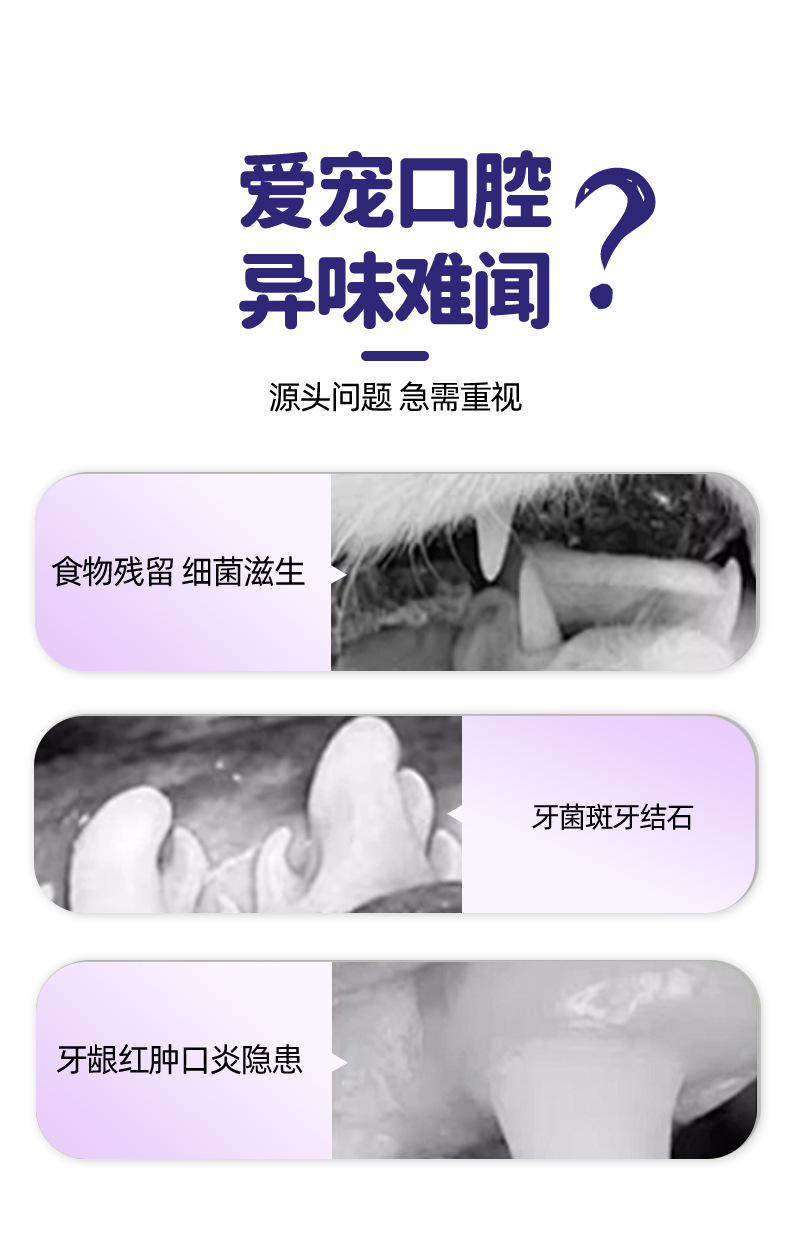 FURRIYO  宠物洁牙笔  去牙垢牙渍宠物洁齿凝胶 口腔清洁宠物牙膏