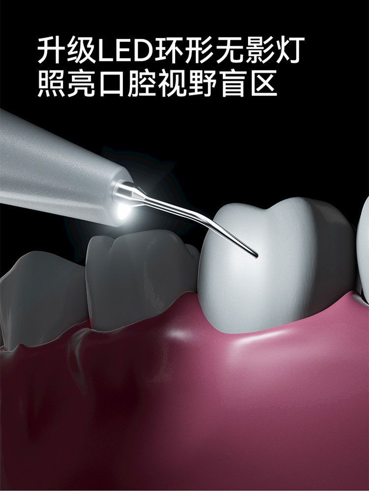 Pet electric toothbrush, dental cleaner and polisher