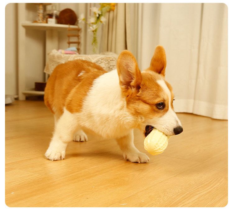 Köpek sesli oyuncağı, PVC fıstık, Corgi için