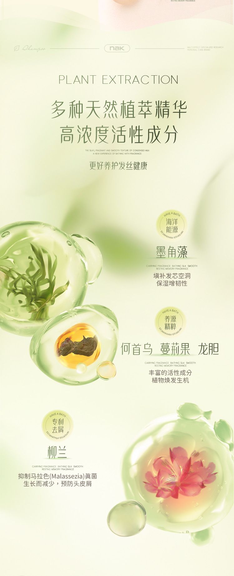 茶树精油洗发水露去屑柔顺控清爽油香味持久留香一件代发批发定制