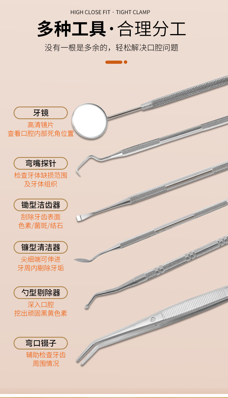 Stainless Steel Dental Cleaning Tool Set