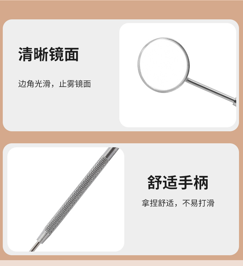 Stainless Steel Dental Cleaning Tool Set