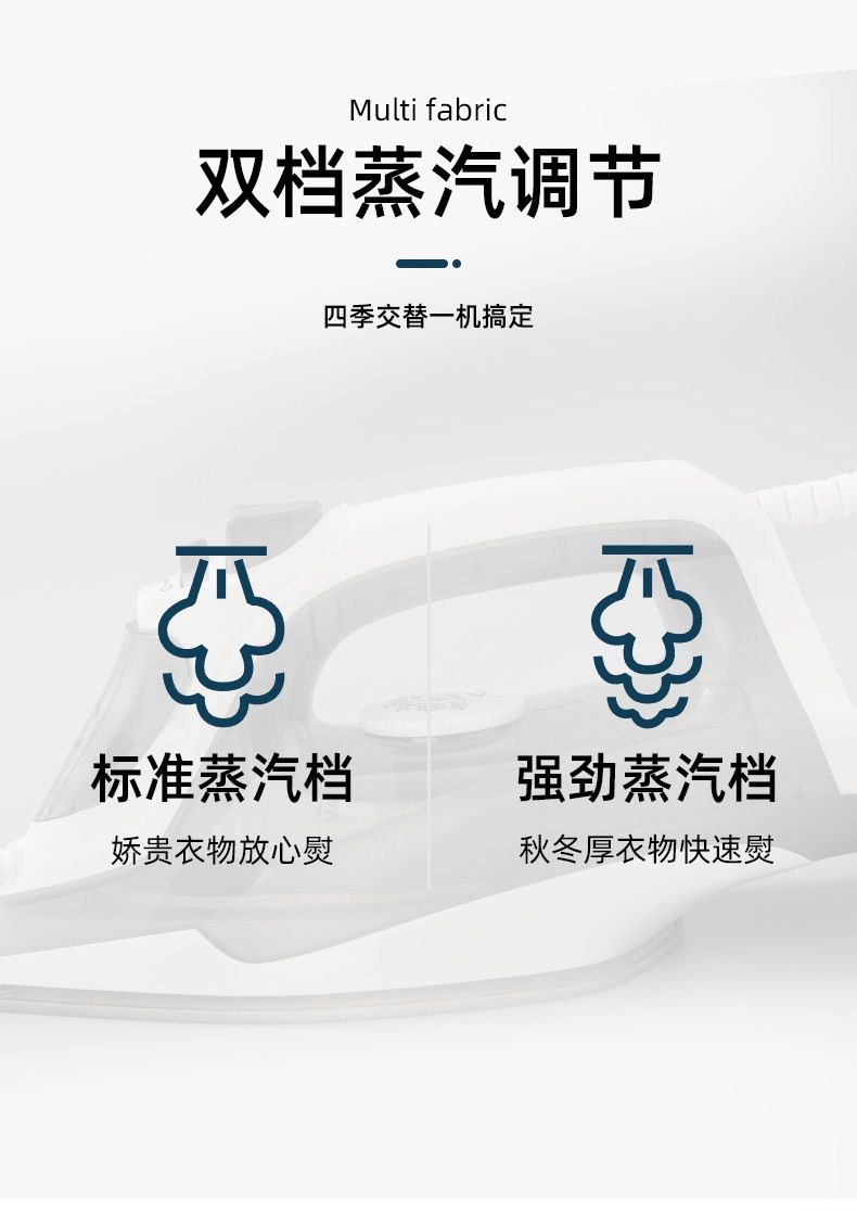 Mini portable steam iron handheld