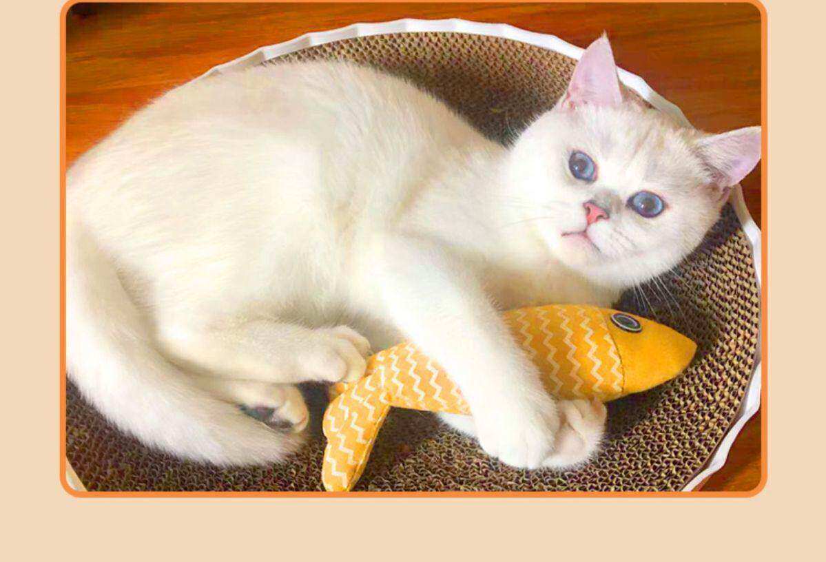Kedi oyuncağı, nane balığı, kumaş, diş kaşıyıcı