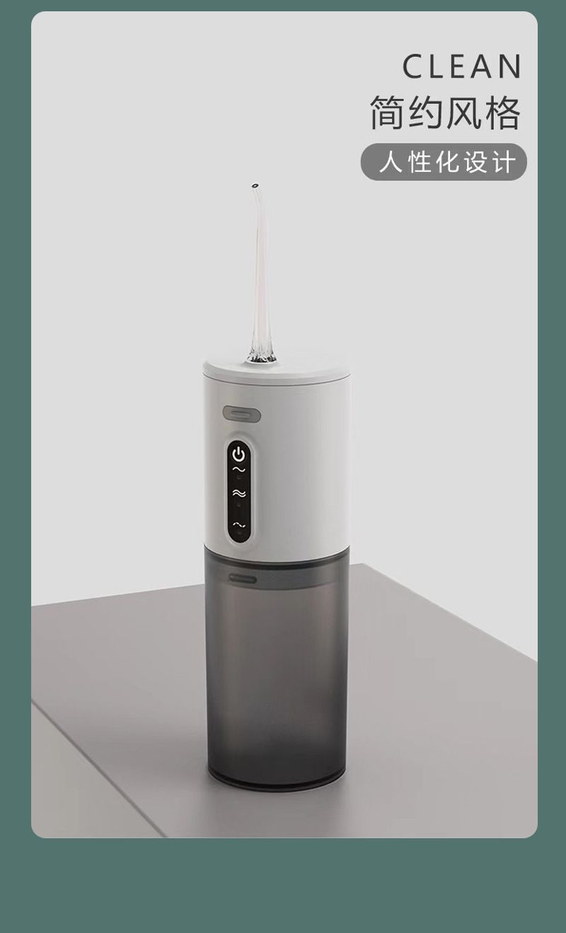 Portable electric water flosser, multi-level adjustable
