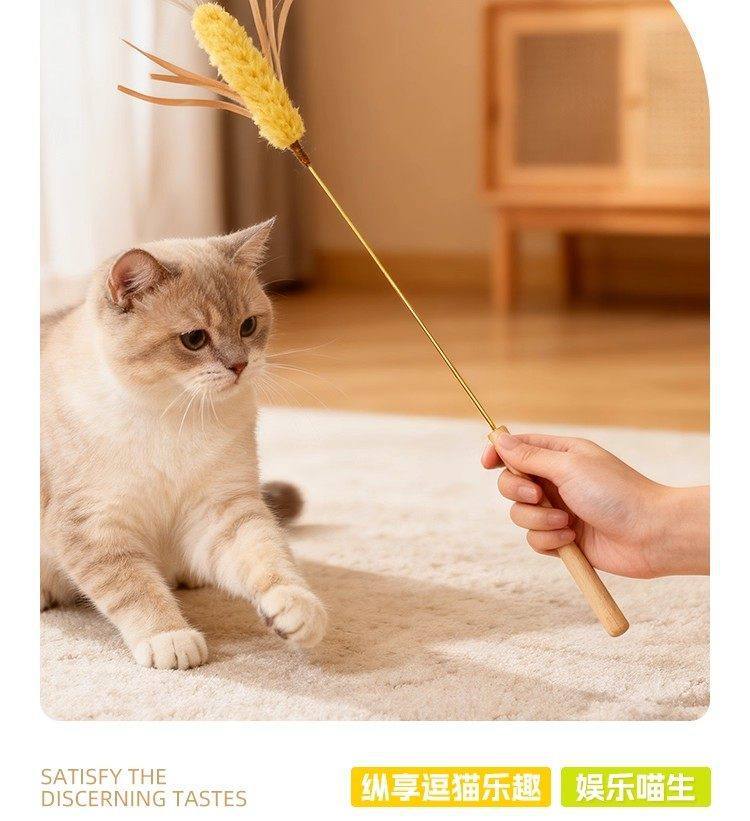 Kedi oyuncağı, arpa lavanda, teaser çubuğu