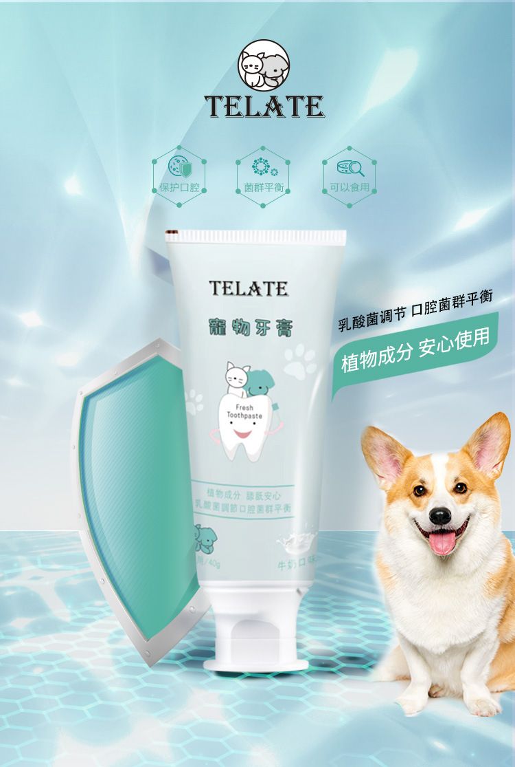 Dog and cat toothbrush set with toothpaste, tartar cleaning