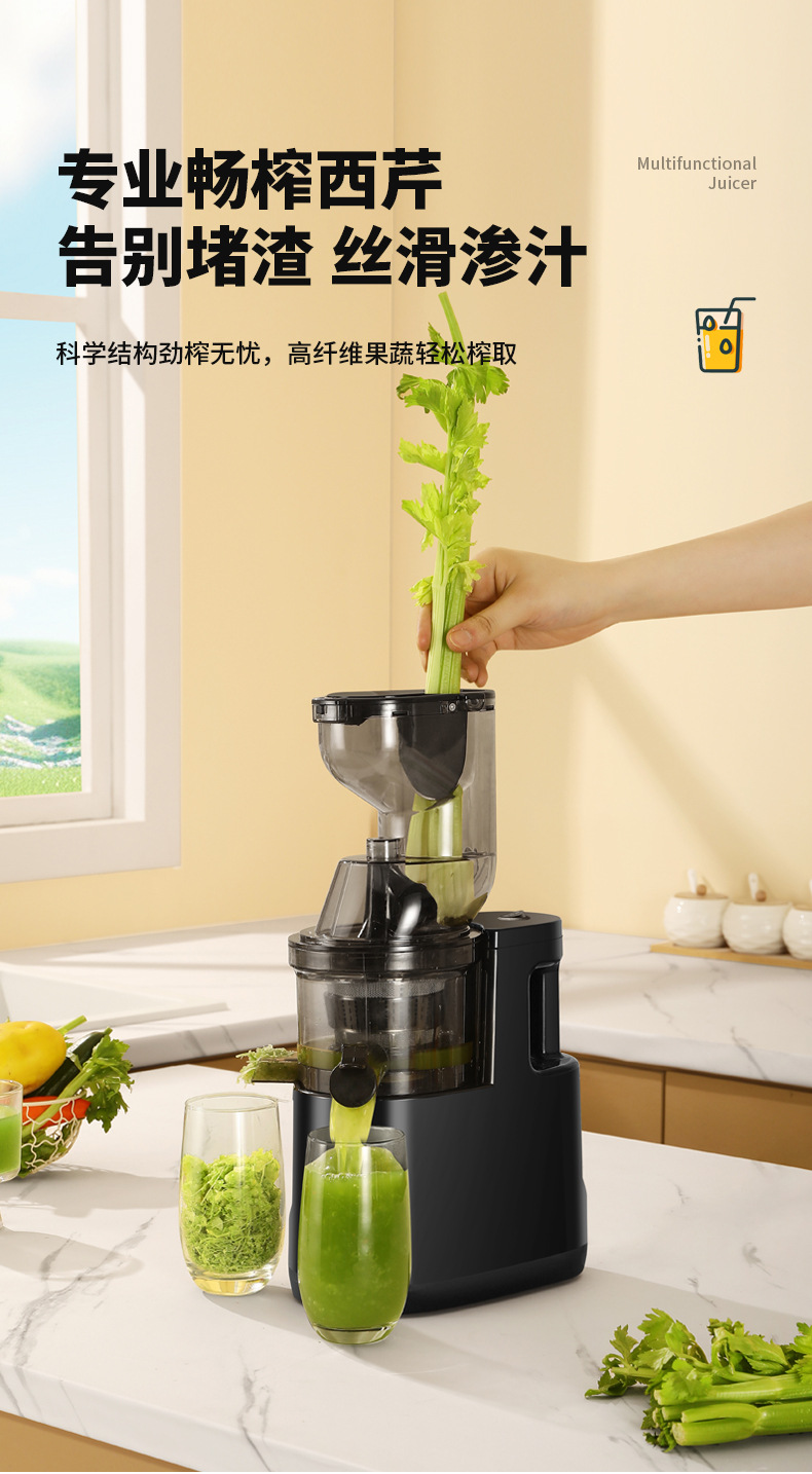 Fully automatic fruit and vegetable juicer with soy milk function