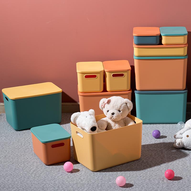 Plastic Storage Box, Large Capacity