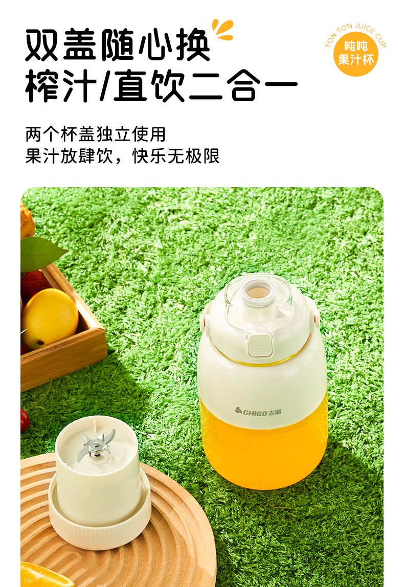 Chigo portable fruit juicer, rechargeable, multifunctional
