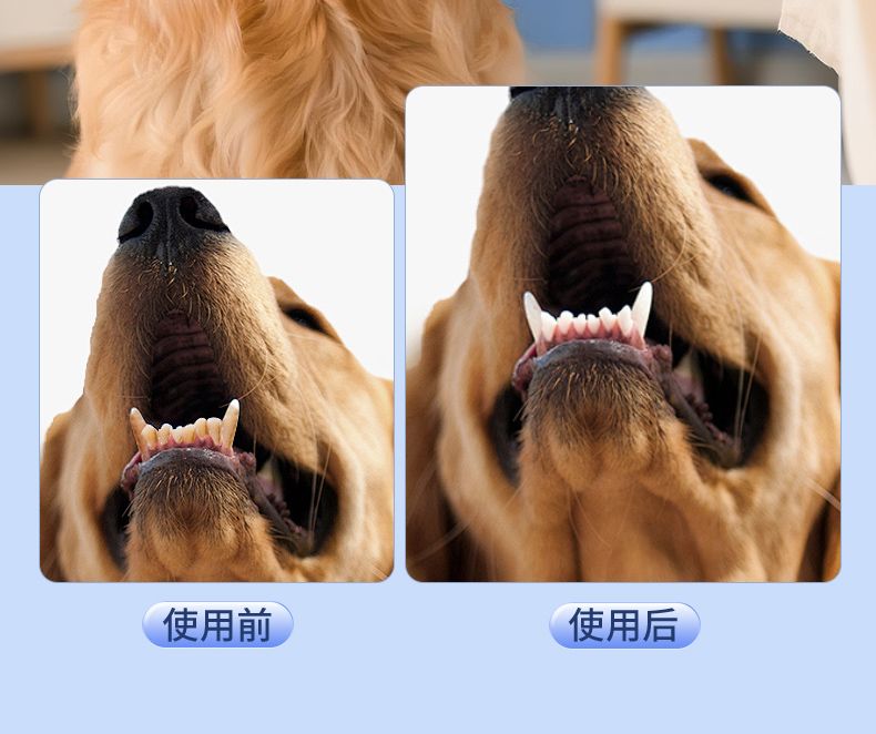 狗狗牙结石去除器宠物超声波洗牙机猫咪牙齿清洁工具小洁牙仪