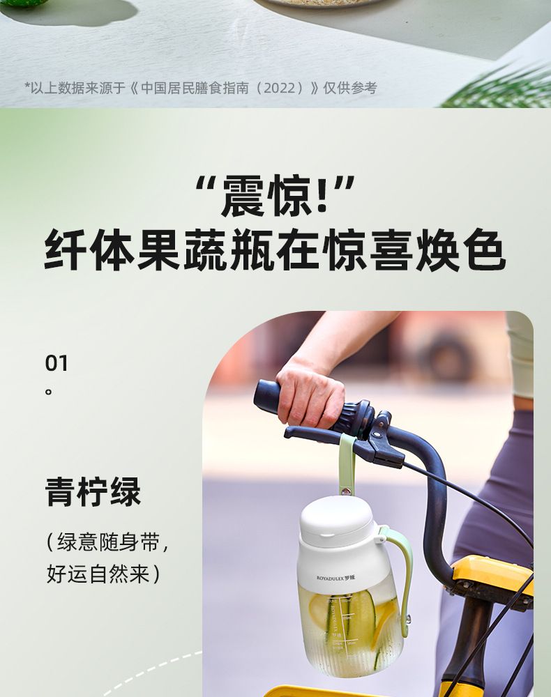Fruit juicer, portable, large capacity