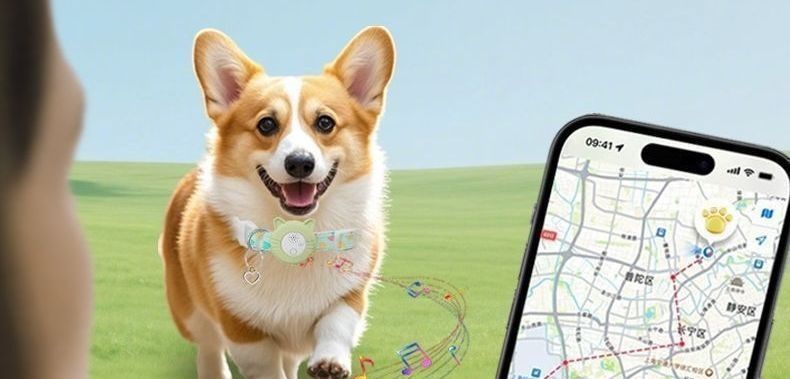 Haustier-GPS-Tracker, Katzen und Hunde, Globalnavigation
