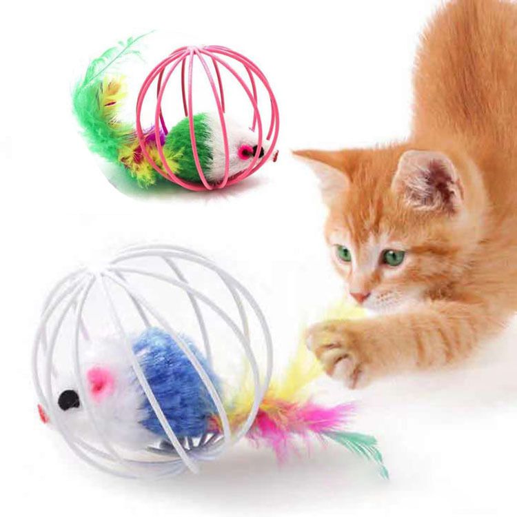 Kedi oyuncak topu kafes fare kedi malzemeleri kedi oyuncak kendini eğlendiren can sıkıntısı giderici kedi oyun oyuncak evcil hayvan malzemeleri.