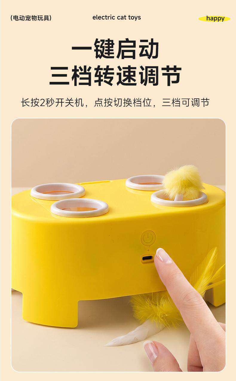 Cat toy, interactive, electric, multi-function