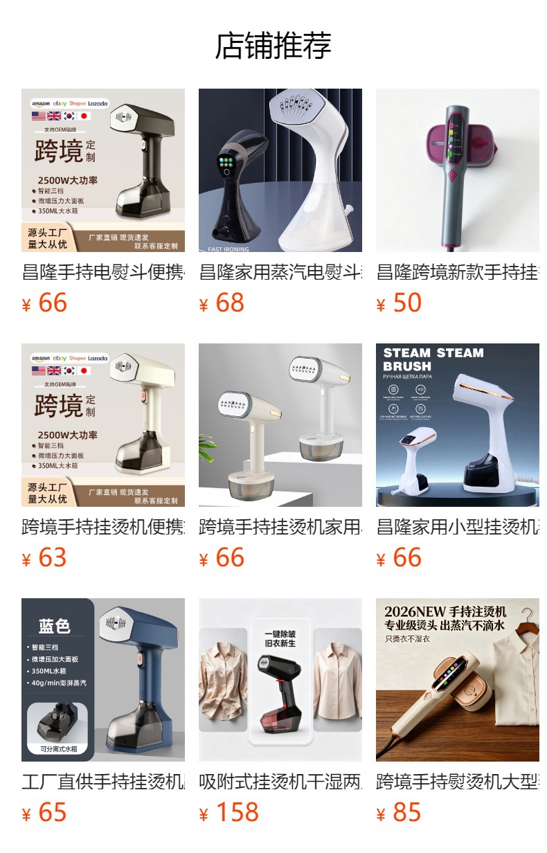 Handheld Electric Iron Portable Steam Garment Steamer