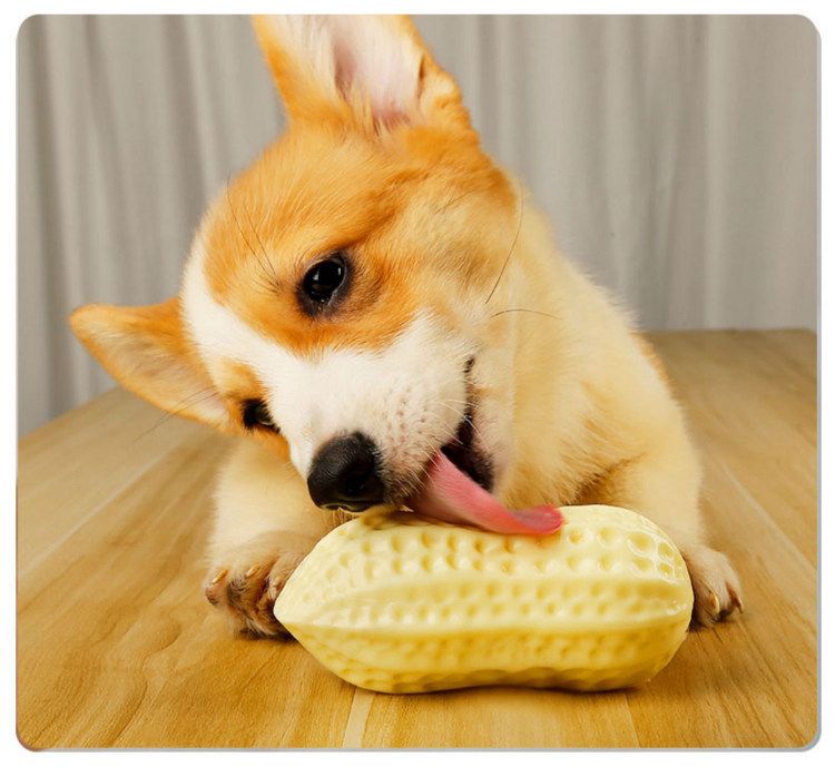 Köpek sesli oyuncağı, PVC fıstık, Corgi için