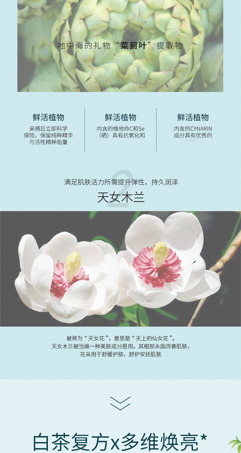 去黑头鼻贴套盒T区祛粉刺收缩毛孔黑头导出液去黑头的鼻贴鼻头贴