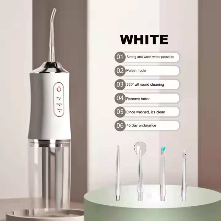 Portable electric oral irrigator, tartar remover