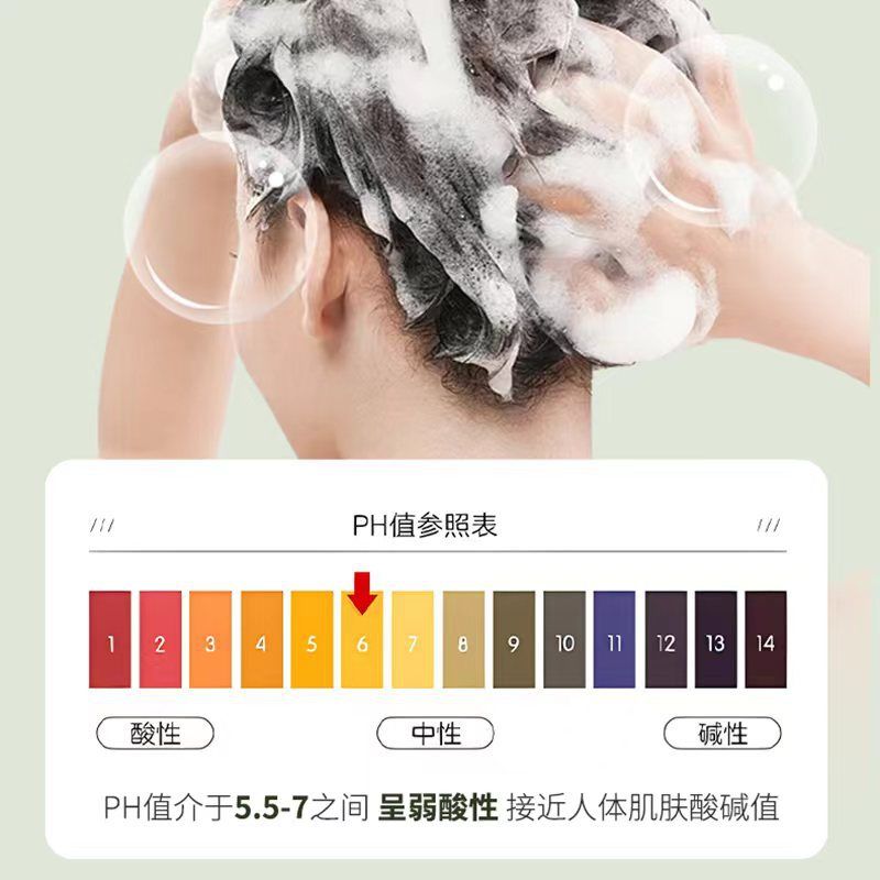 Qin Er Kamelie Shampoo, Aminosäure-Formel, Ölkontrolle