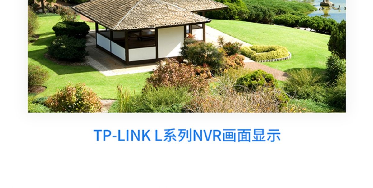 TP-LINK TL-NVR6104C-L gözetim kaydedici H.265 4 kanal