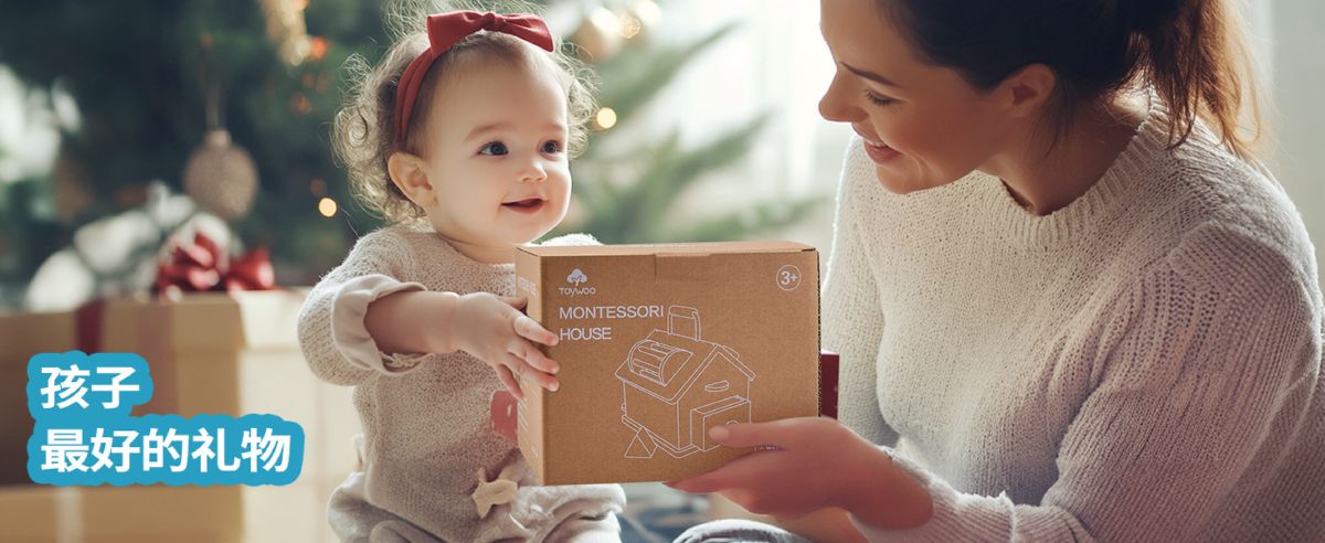 Holz Montessori Intelligenzbox Ballspielzeug