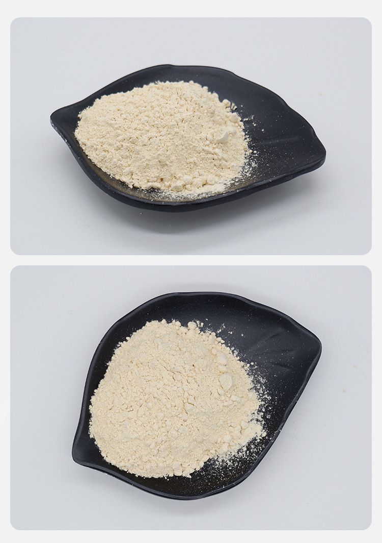 玉米蛋白粉60% 盛元泰供应食品级玉米提取植物蛋白粉 量大从优