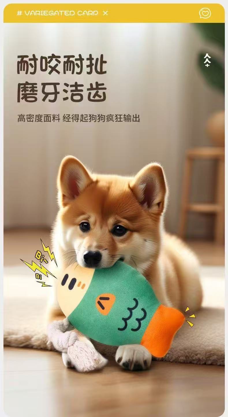 Hundespielzeug mit Sound, bissfestes Kauaccessoire